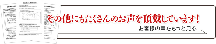 お客様の声をもっと見る